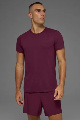 Koszulka Triumph – Burgundy