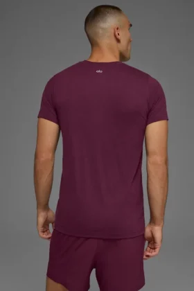 Koszulka Triumph – Burgundy